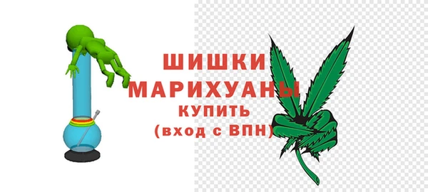 индика Белокуриха