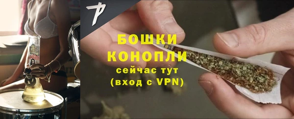 индика Белокуриха