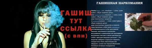 индика Белокуриха