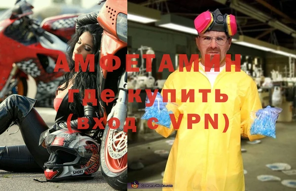 индика Белокуриха