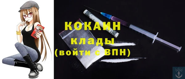 индика Белокуриха
