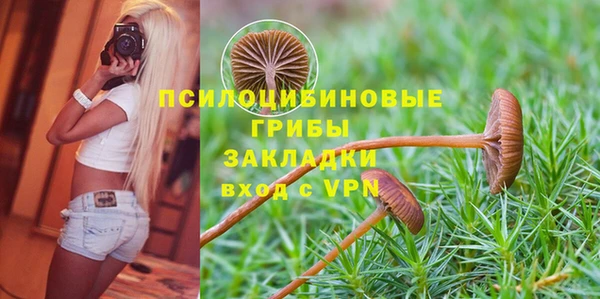 индика Белокуриха