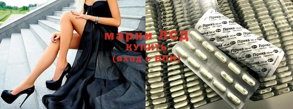 индика Белокуриха