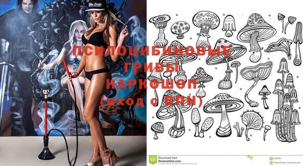 apvp Беломорск
