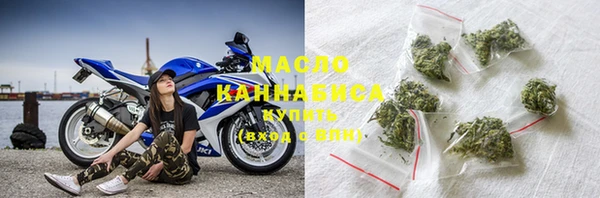 индика Белокуриха