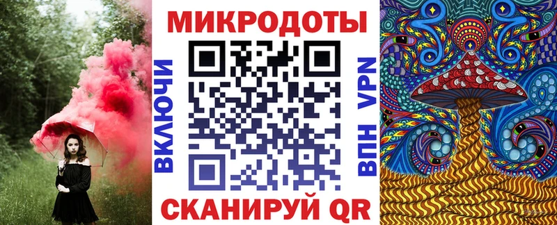 Псилоцибиновые грибы Psilocybe  закладка  Плёс 